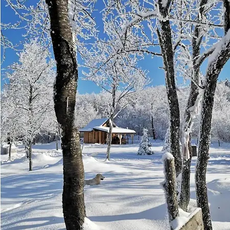 Vihor Getawayhouse *